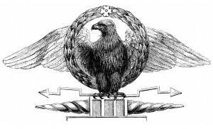 Aquila