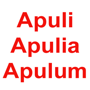 a-pulii